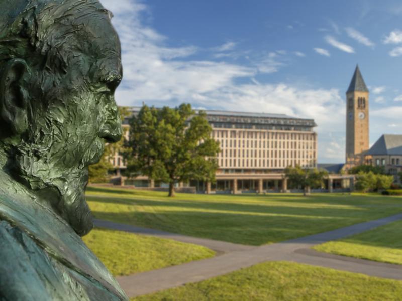 The statue of A D White on the Arts Quad, Olin Library and McGraw Tower in summer.